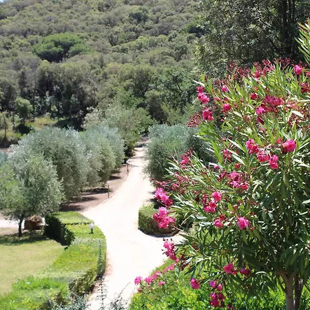 C'era Una Volta Frantoio Holiday home *
