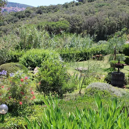 C'era Volta Frantoio Ferienhaus *