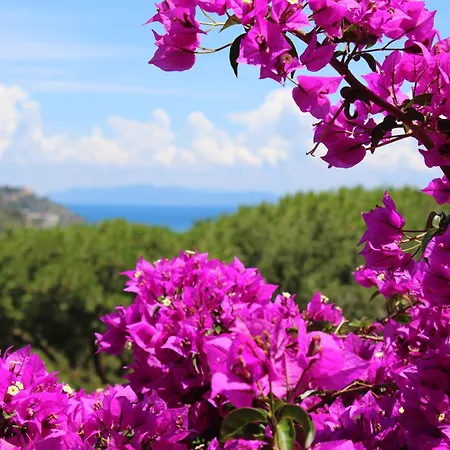 Prázdninový dům C'era Volta Frantoio *