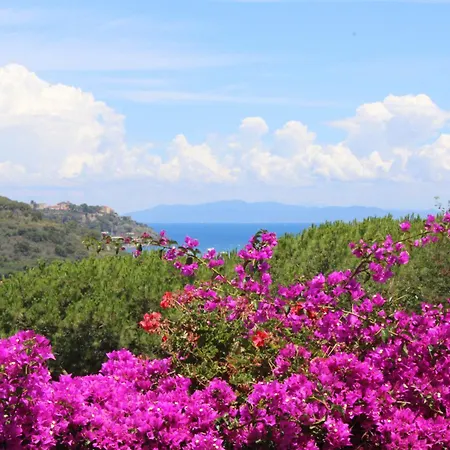 C'era Volta Frantoio