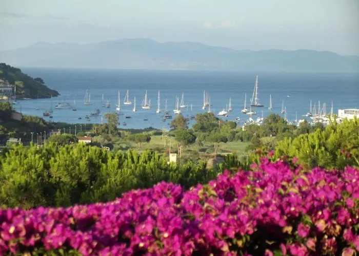 C'era Volta Frantoio 펜션 *