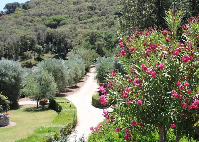 C'era Volta Frantoio Σπίτι διακοπών *