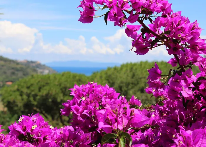 펜션 C'era Volta Frantoio *