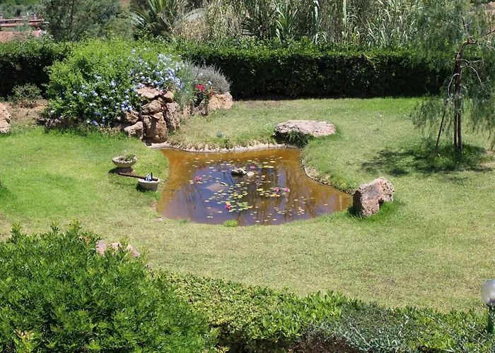 C'era Volta Frantoio * 카폴리베리