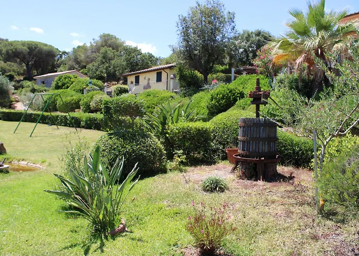 C'era Volta Frantoio * 카폴리베리