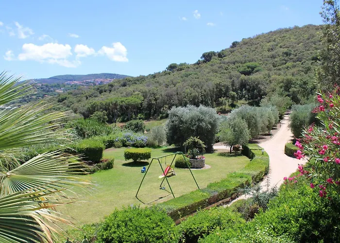 C'era Volta Frantoio