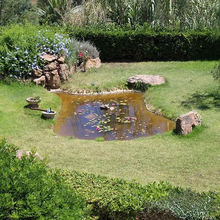 C'era Volta Frantoio * カポリーヴェリ