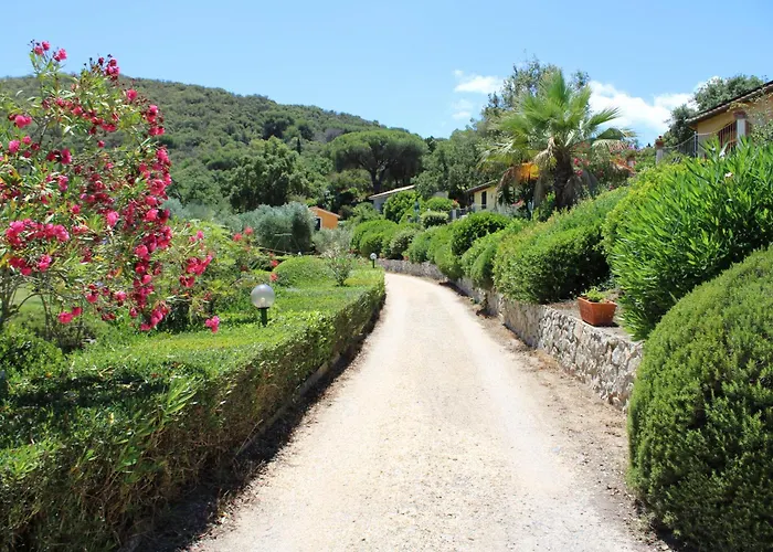 C'era Volta Frantoio Ferienhaus *